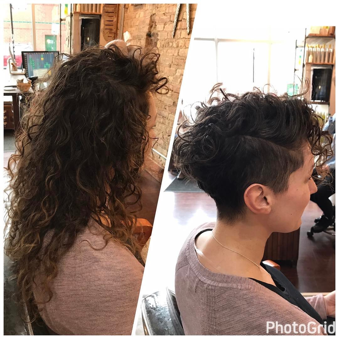 Folta chioma di capelli ricci valorizzata da un pixie cut asimmetrico con rasatura laterale